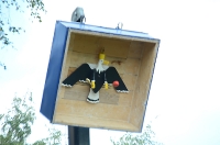 Kreiskönigsschießen 2016